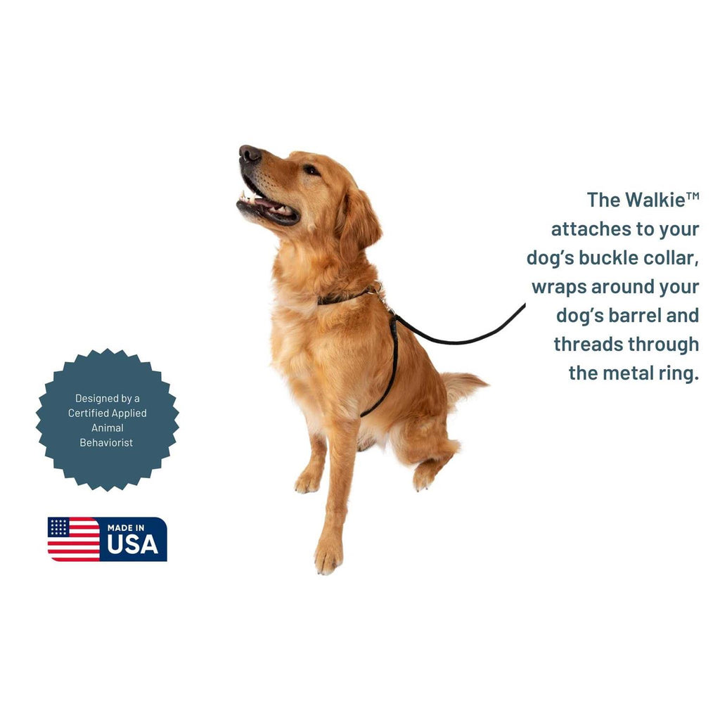 No Pull Dog Leash F294