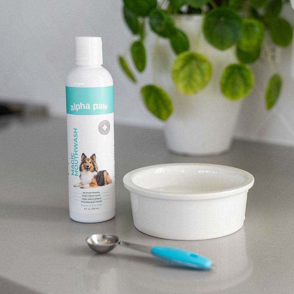 Magic Mouthwash for Dogs A34658
