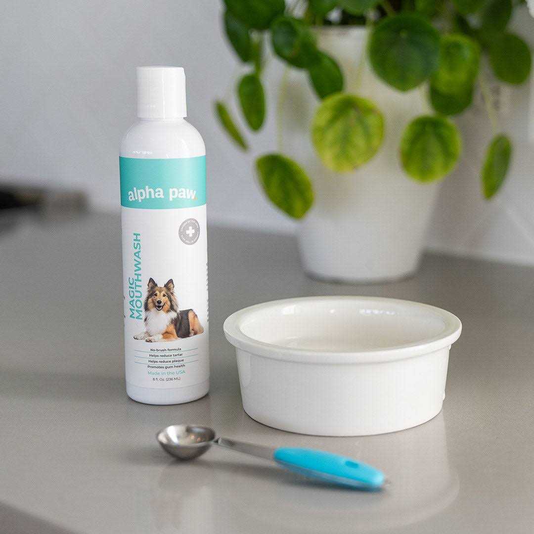 Magic Mouthwash for Dogs A34658