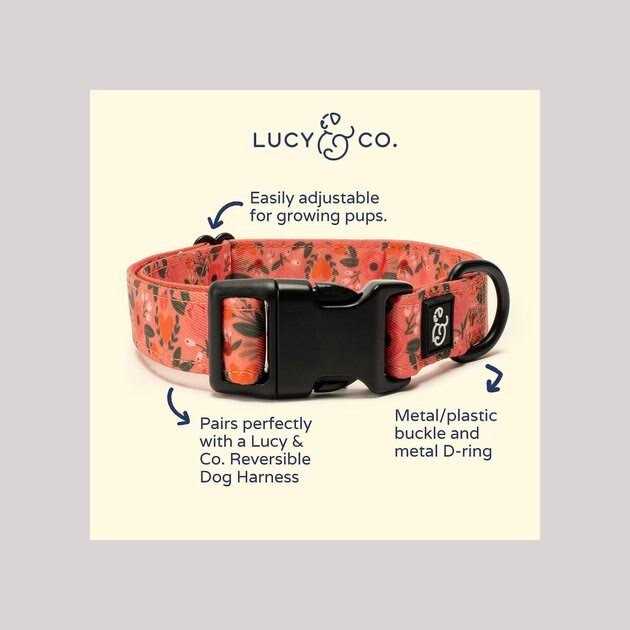 Pink Dog Collar R50347