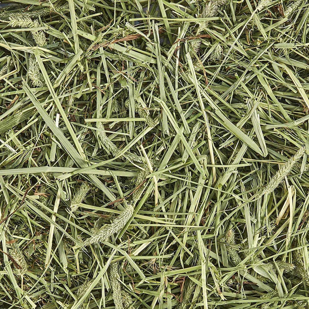 Natural Timothy Hay X125944