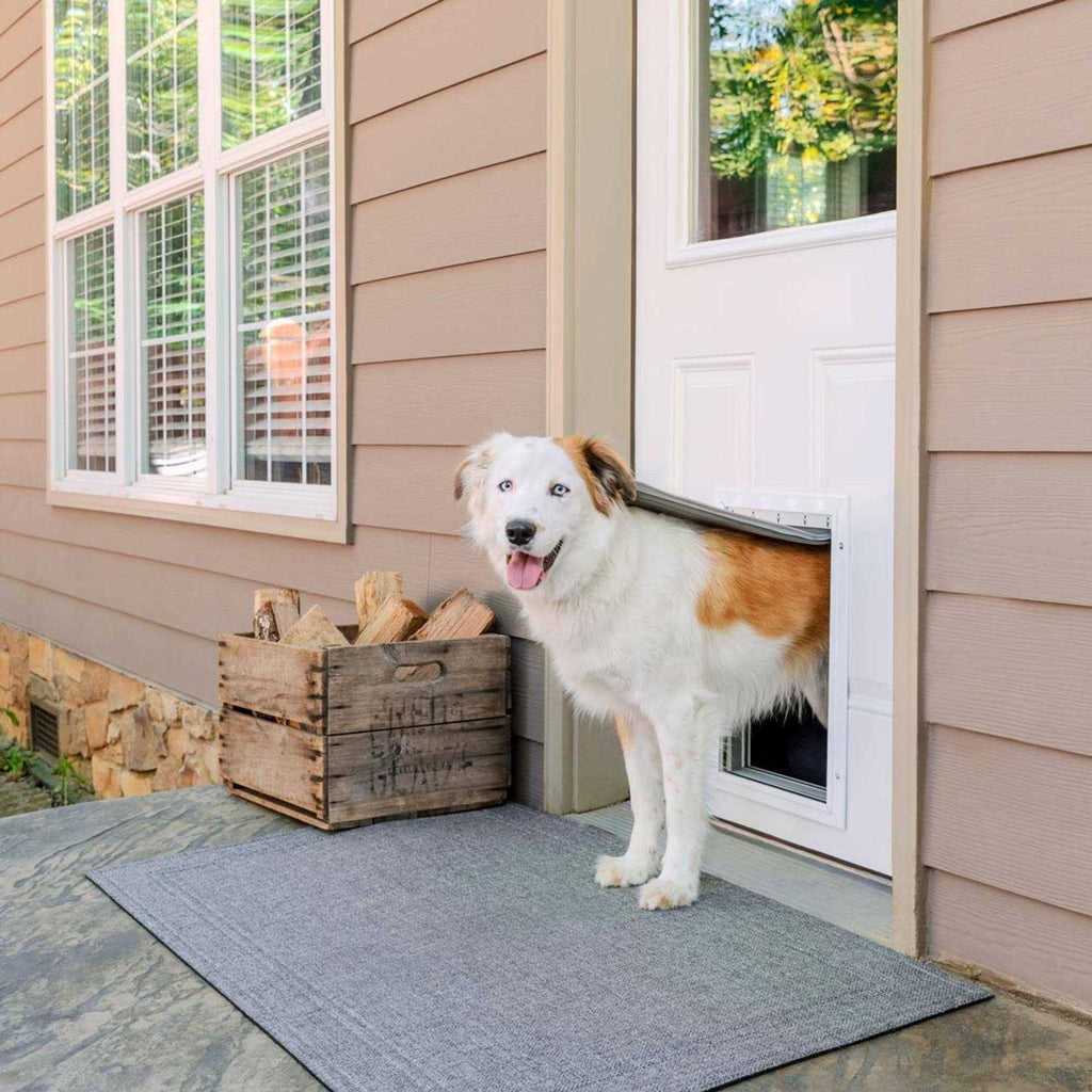 Aluminum Pet Door E372833