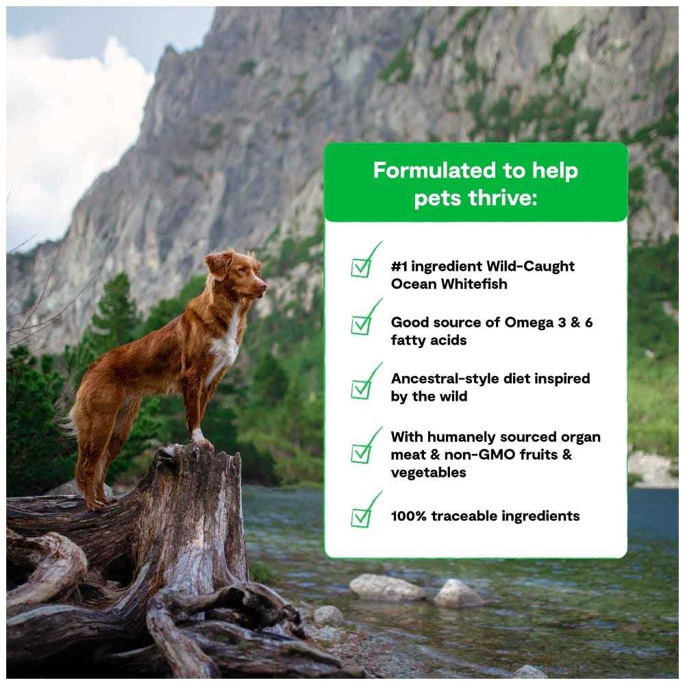 Grain-Free Dog Food M996623