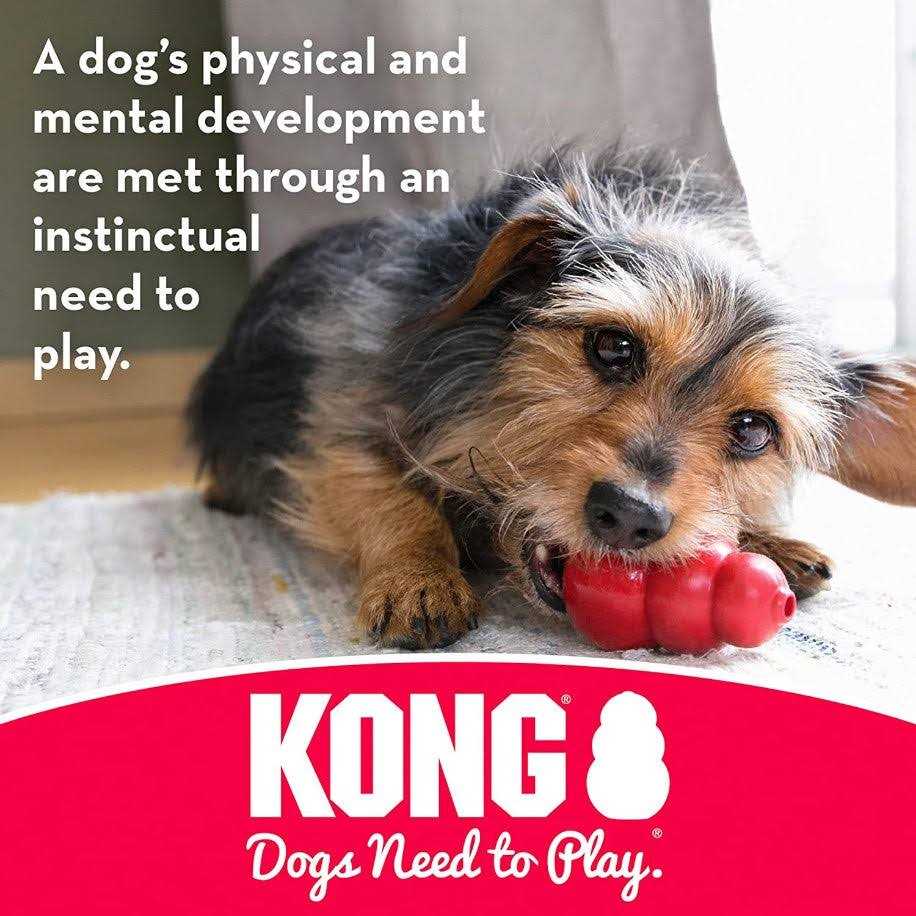 Dog Toy O206