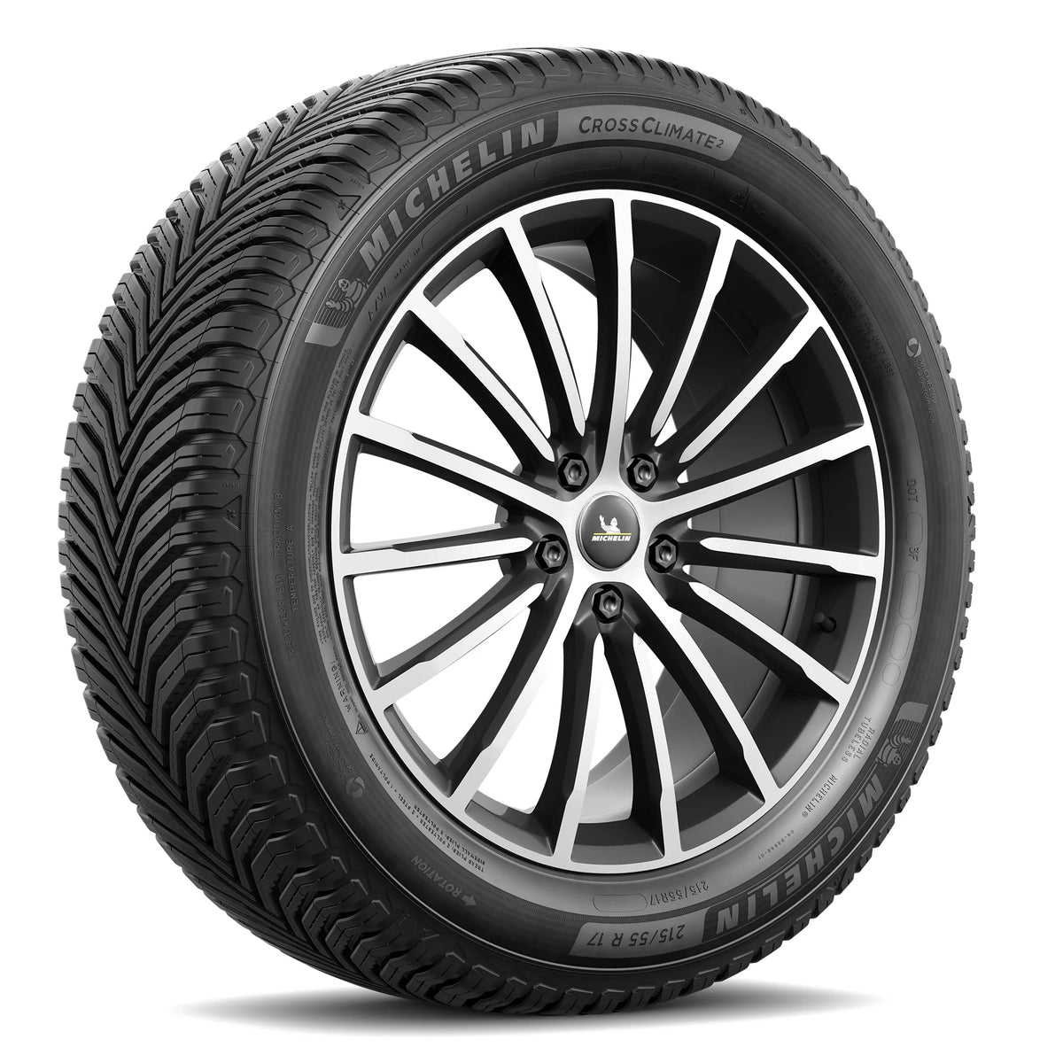 All-Season 245/40R20/XL 99V Tire M118