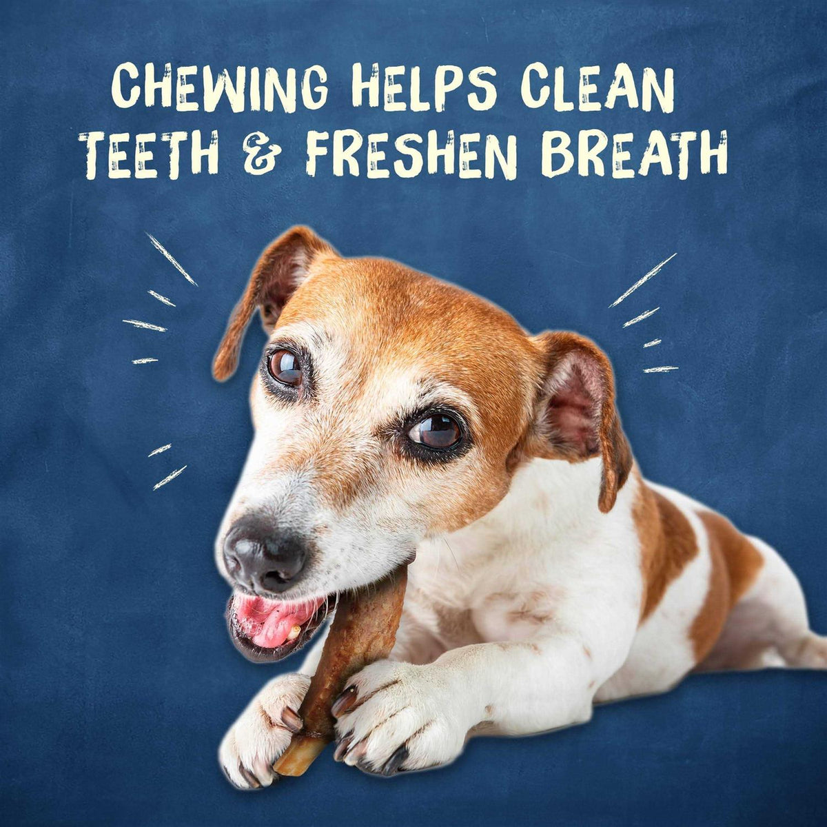 Chew Treats H859945
