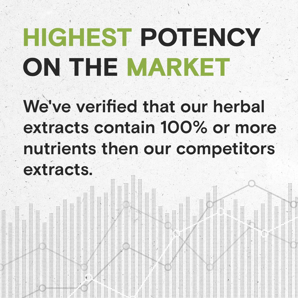 Corn Silk Cleavers Horsetail Uva Ursi Pumpkin Buchu Tincture 2 oz G32508