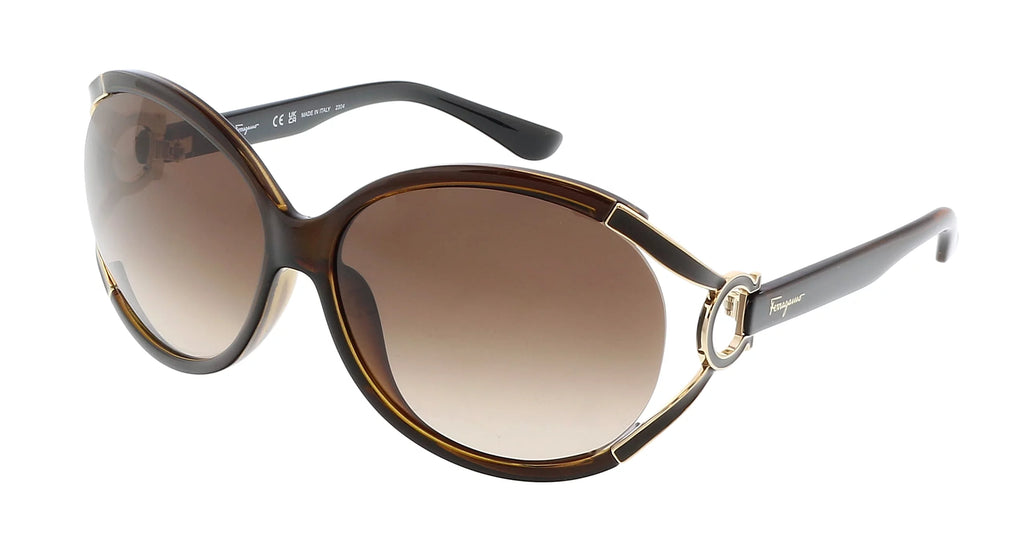 Dark Brown Oval Sunglasses M4693