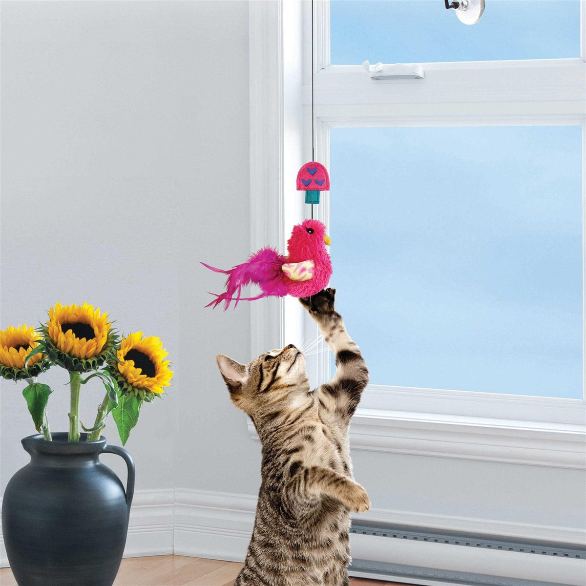 Cat Teaser A946