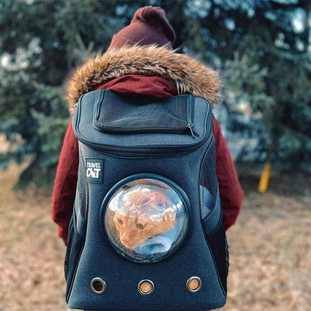 Cat Backpack O281