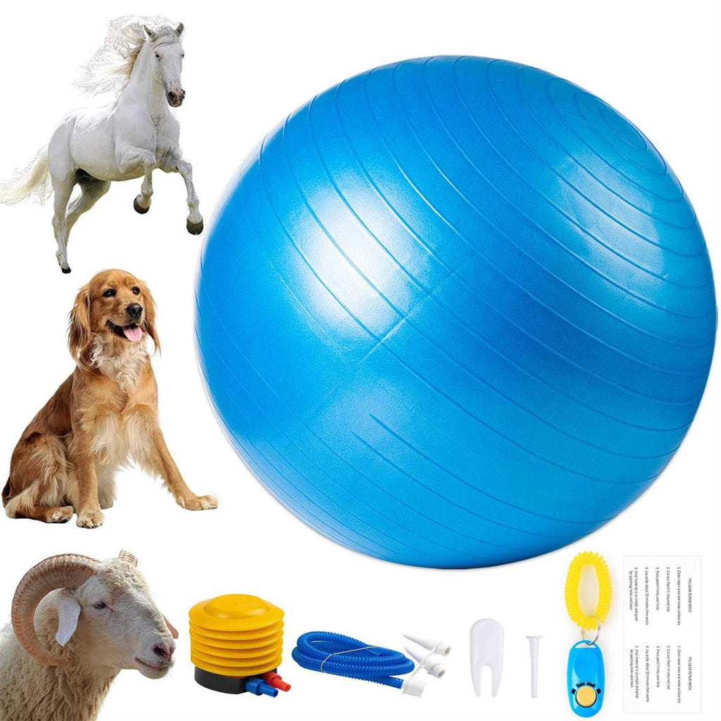 30 Inch Anti-Burst Horse Herding Ball with Pump F594