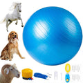 30 Inch Anti-Burst Horse Herding Ball with Pump F594