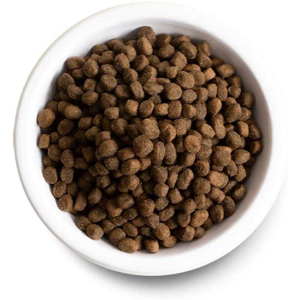 Ancient Grains Dog Food H265