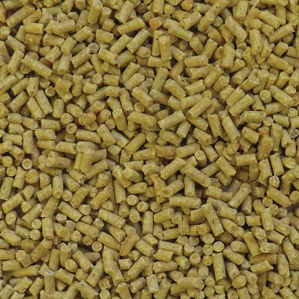 Tropical Fruit Bird Food Q635239