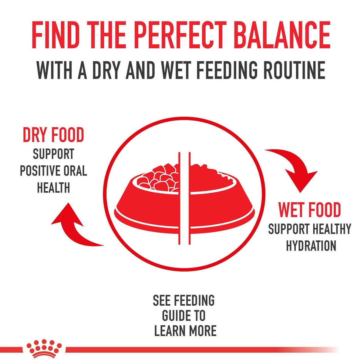 Adult Dry Dog Food X1300