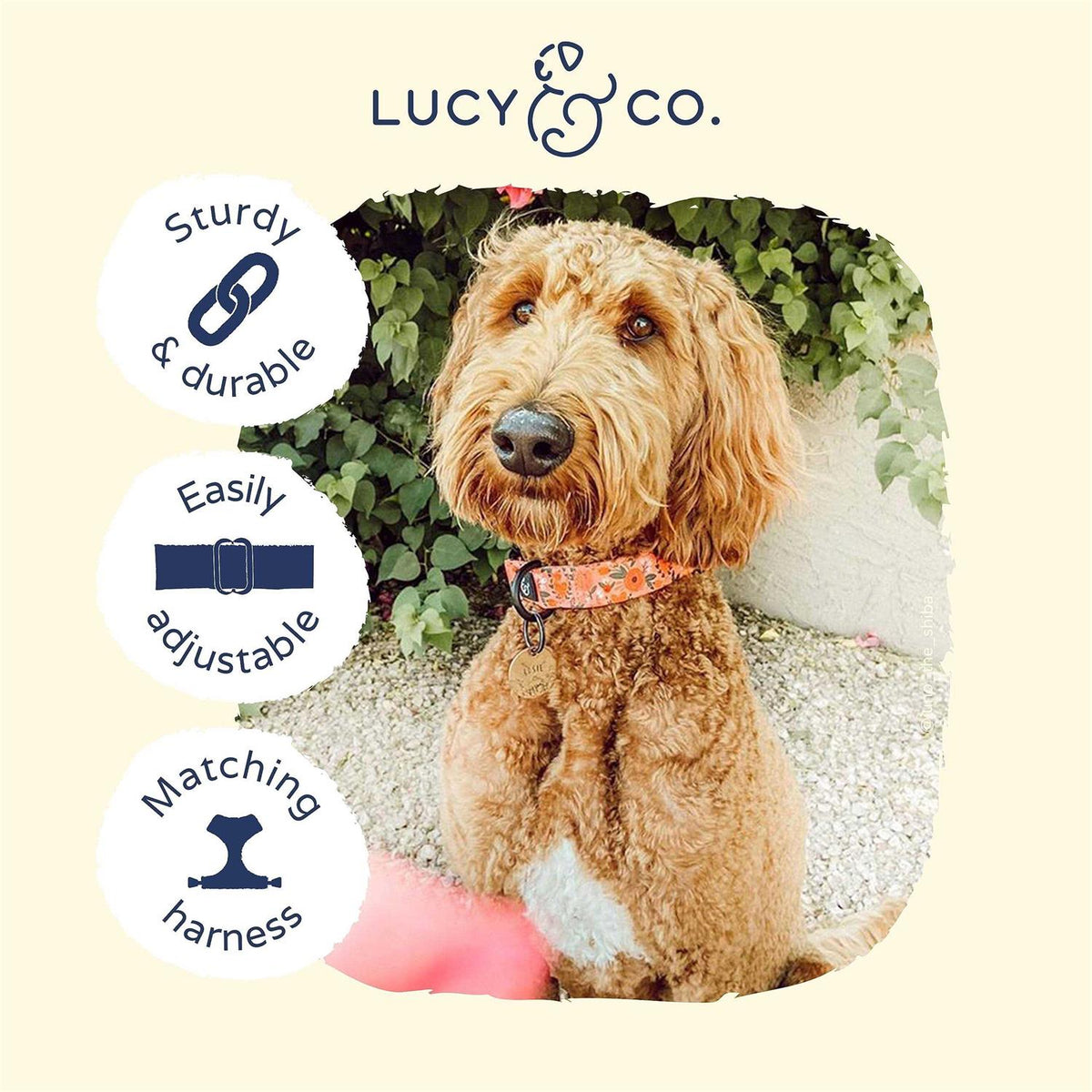 Pink Dog Collar R50347