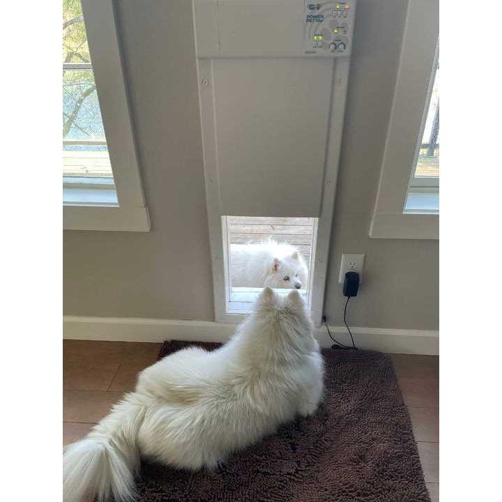 Electronic Pet Door R44504