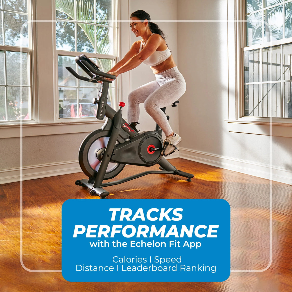 Indoor Cycling Exercise Bike A821
