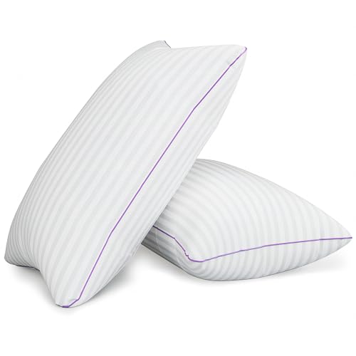 King Size Set of 2 Breathable Down Alternative Microfiber Pillows M74477