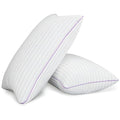 King Size Set of 2 Breathable Down Alternative Microfiber Pillows M74477