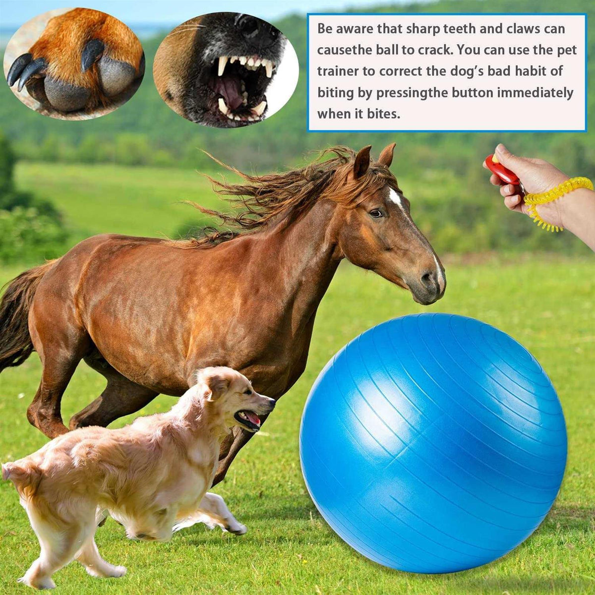 30 Inch Anti-Burst Horse Herding Ball with Pump F594