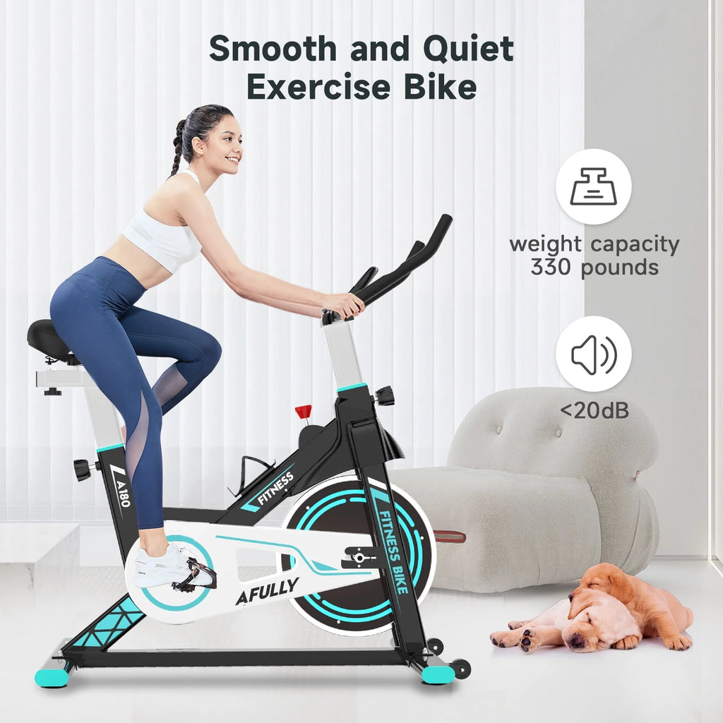 Indoor Cycling Bike Heavy Duty Frame P6909