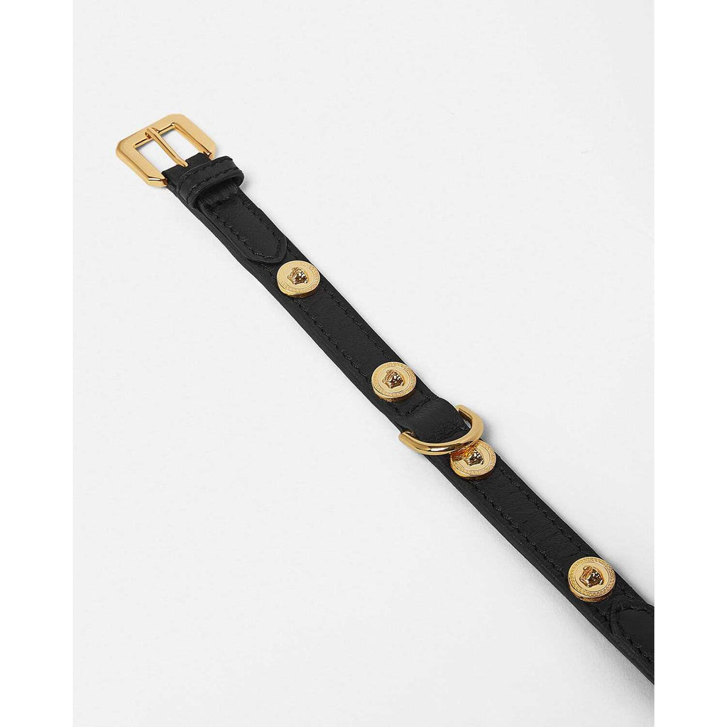 Small Pet Collar R769600