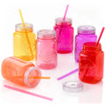 Acrylic Mason Jar Tumblers with Lids & Straws 20 oz 6 Pack E9679