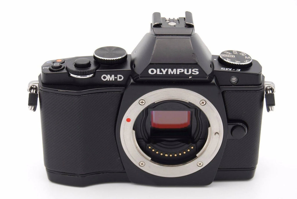 Black 16.1 MP Mirrorless Digital Camera V47189