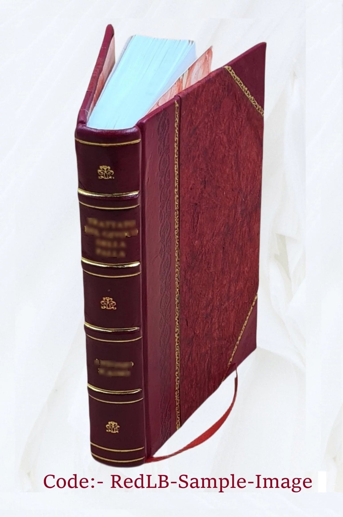Vita, morte, e traslationi delli gloriosi SS. martiri Fermo e Rustico L349002