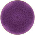 9" Round Purple Plastic Plates with Gold Rim 110 Pack V467