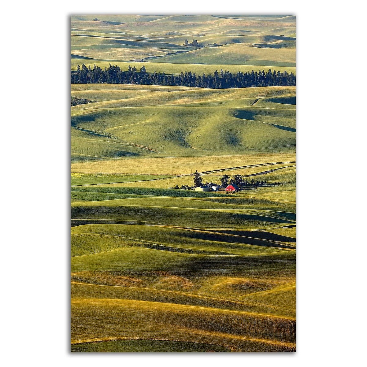 Canvas Print J927223