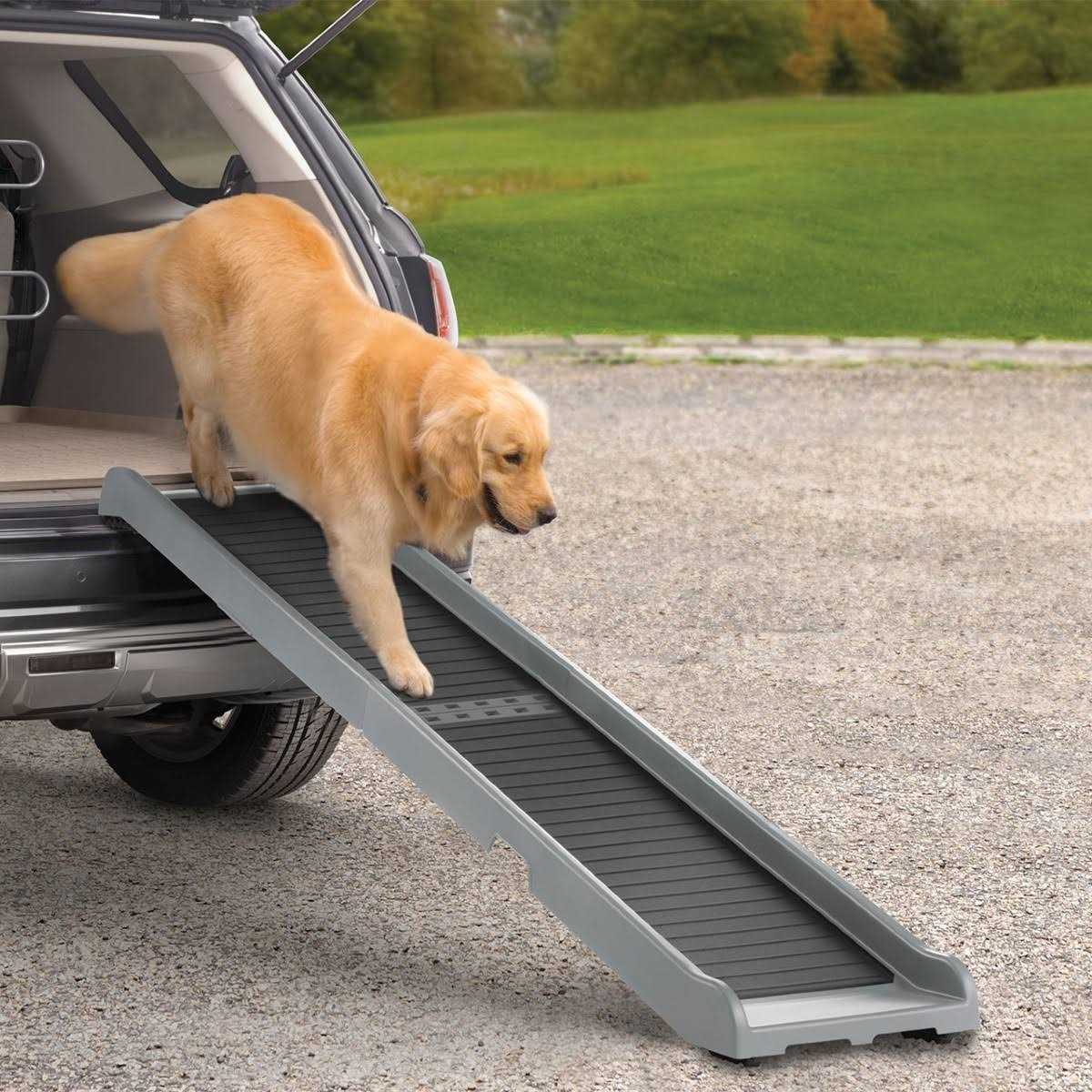 Pet Ramp X677110