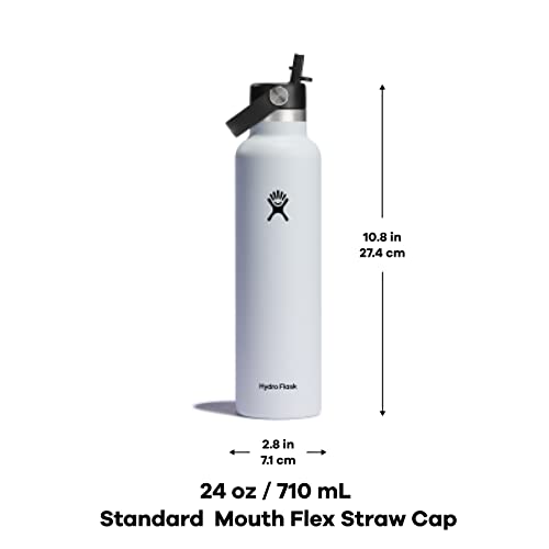 24 Oz Stainless Steel Water Bottle with Straw Cap S107