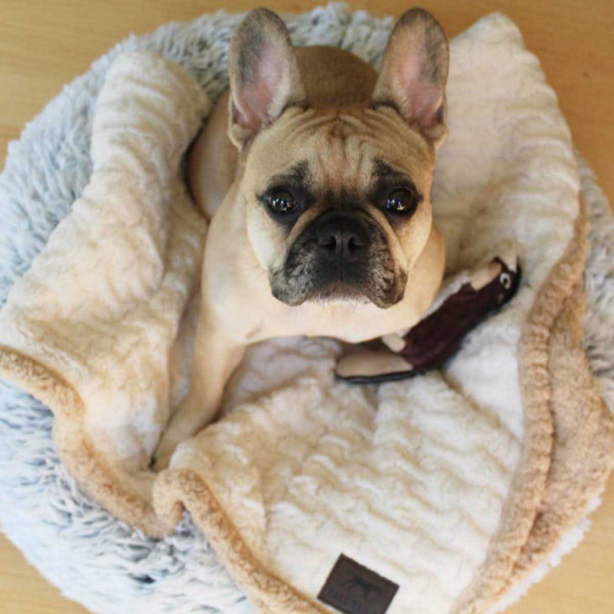 Dream Cuddle Bed F79469