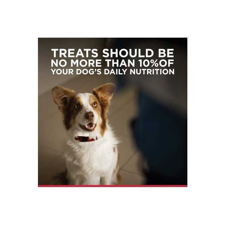 Jerky Dog Treats F2496
