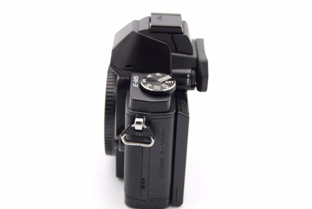 Black 16.1 MP Mirrorless Digital Camera V47189
