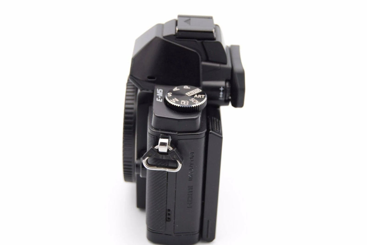 Black 16.1 MP Mirrorless Digital Camera V47189