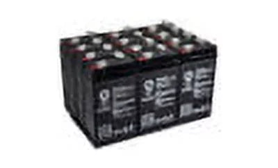6 V 3.2 Ah Replacement Battery with Terminal TT1 12 Pack F9253