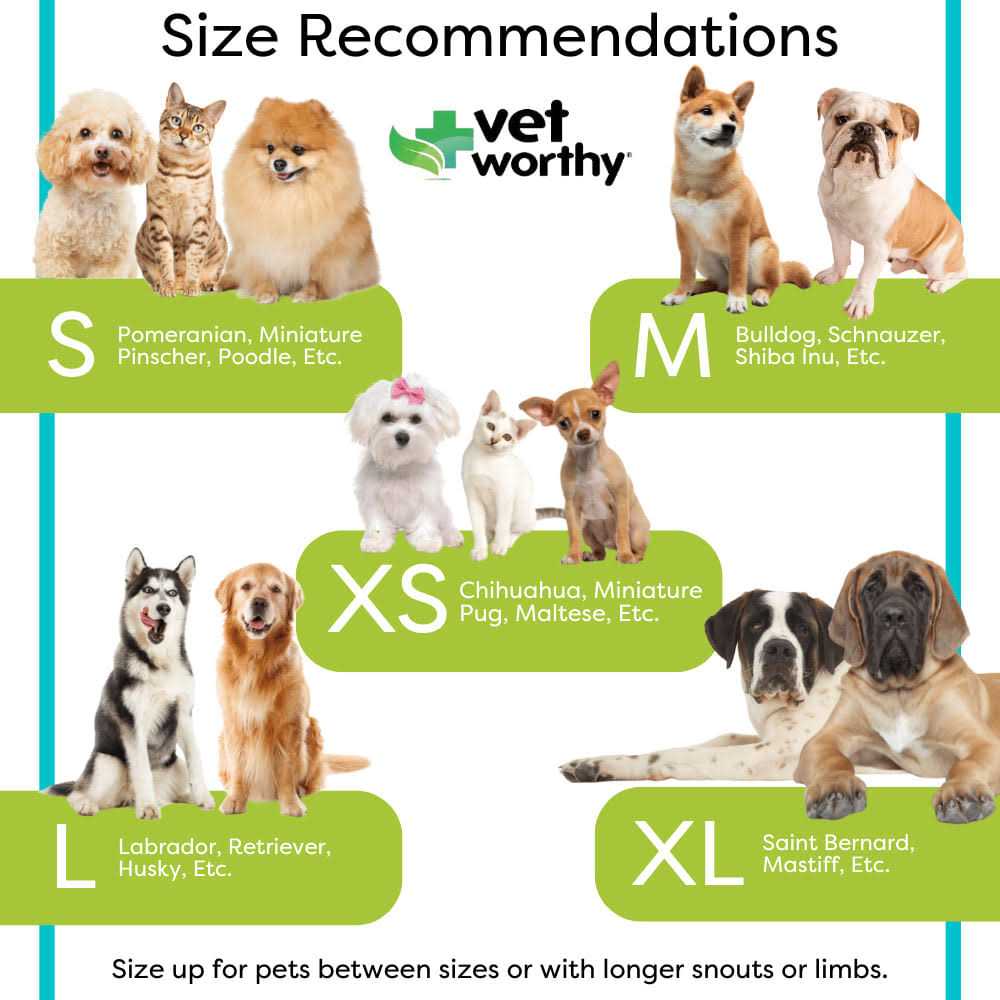 Inflatable Protective Dog Collar R3345