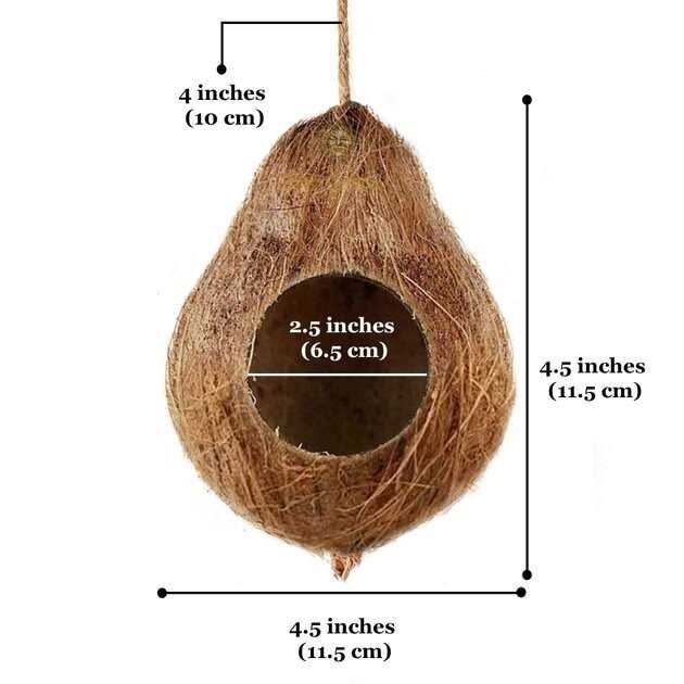 Coconut Hide V6735