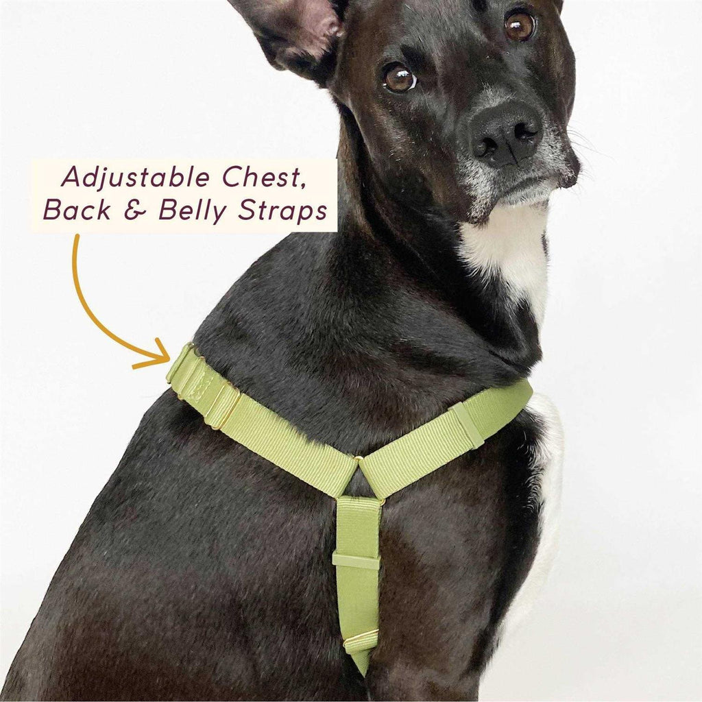 Pet Harness F470430