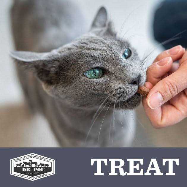 Freeze Dried Cat Treat and Meal Topper Q9483
