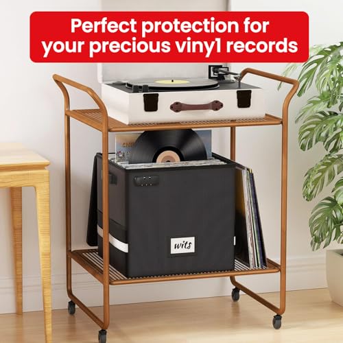 Fireproof Water-Resistant Vinyl Record Storage Box with Lock V64652