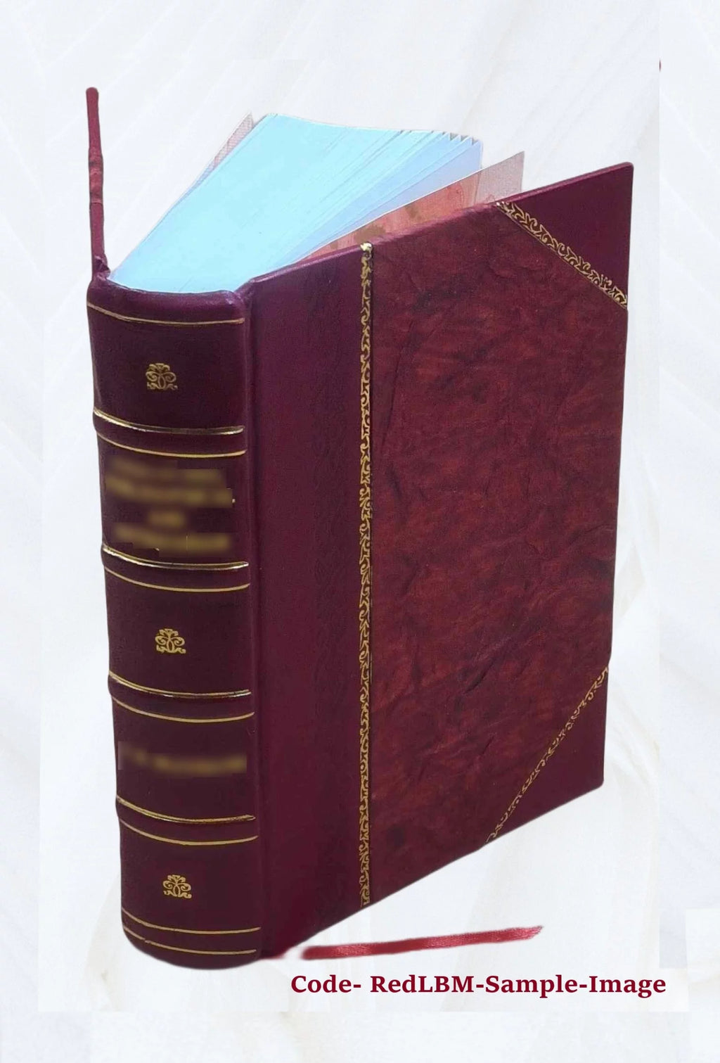 1920 Louisiana Census Population Schedules G1020