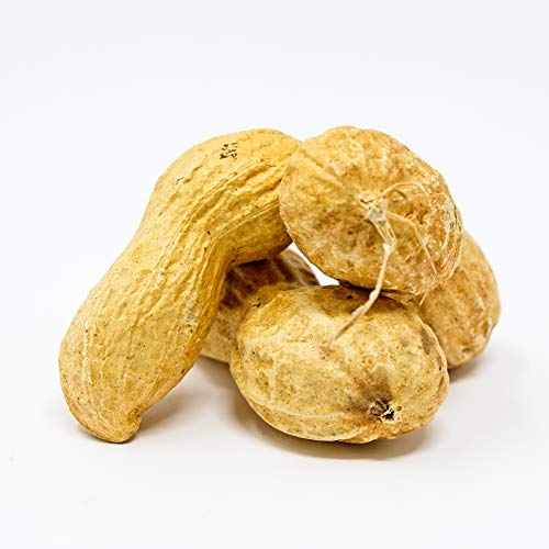 Whole in Shell Raw Peanuts 10lb T20959