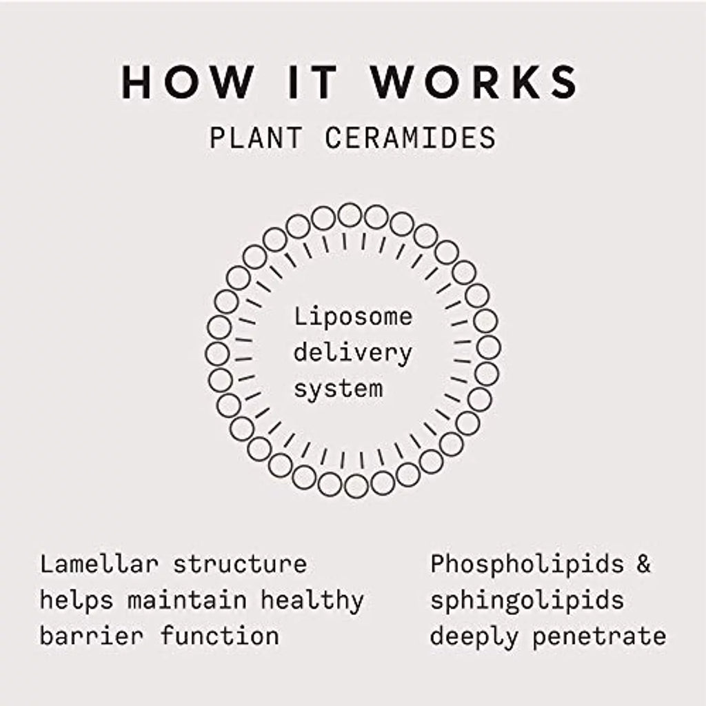 Plant Ceramide Rich Moisture Cream 1.7 OZ O701763