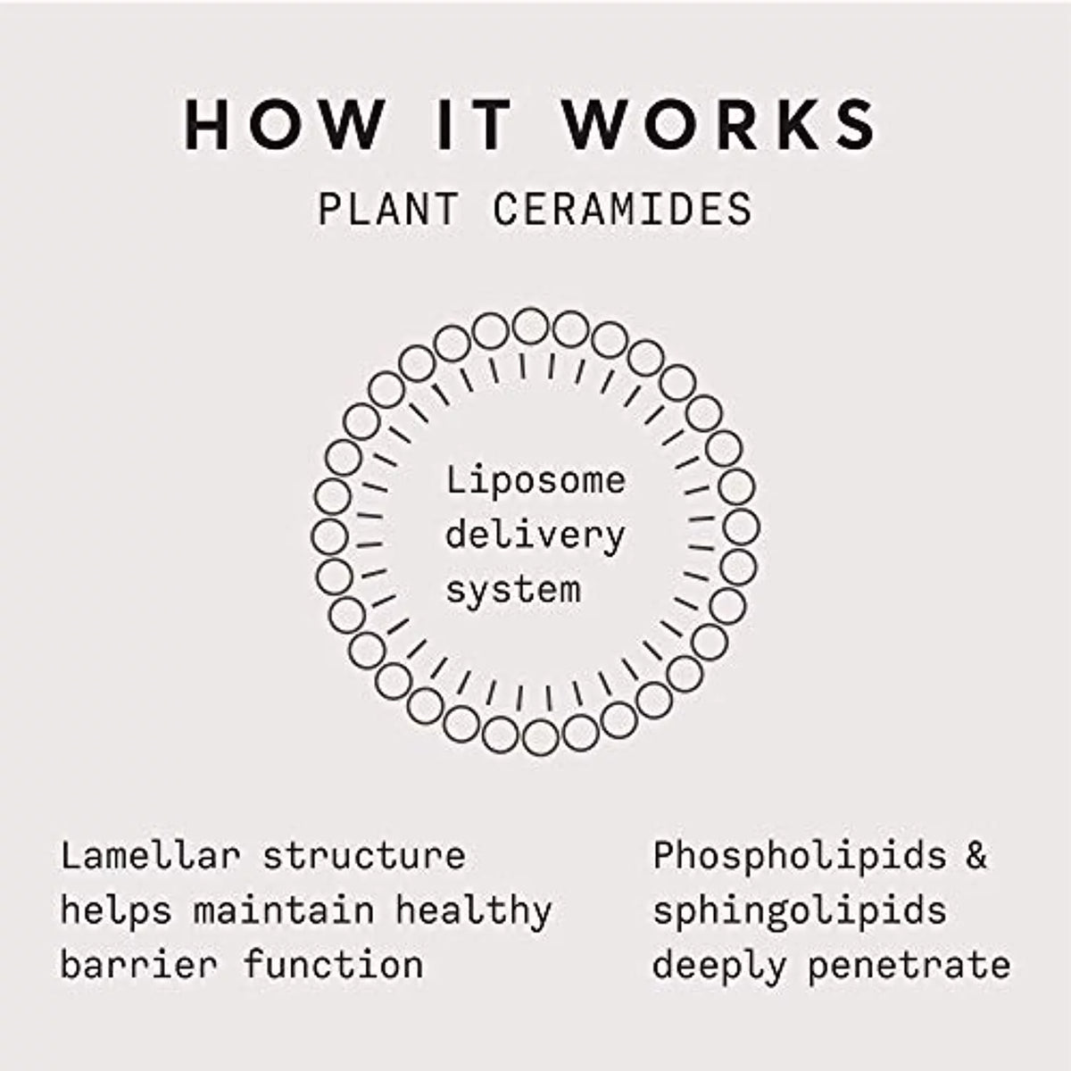 Plant Ceramide Rich Moisture Cream 1.7 OZ O701763
