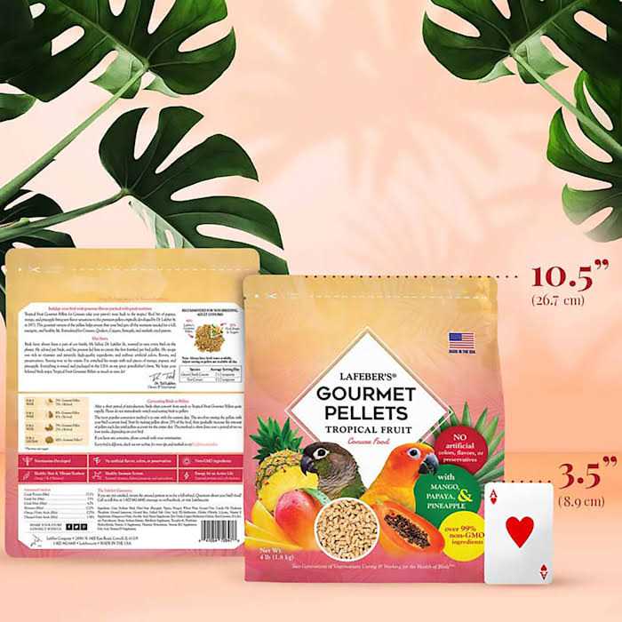 Tropical Fruit Bird Food Q635239