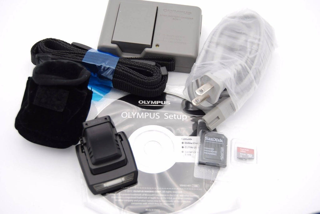 Black 16.1 MP Mirrorless Digital Camera V47189